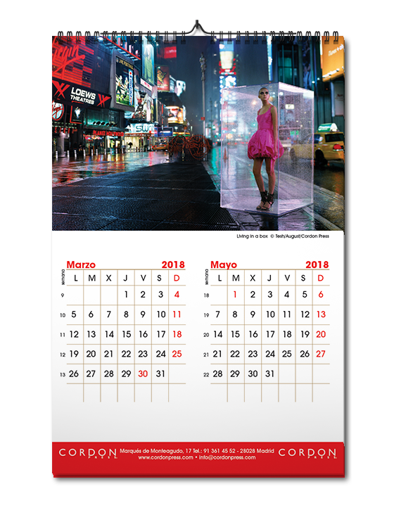 Calendario de pared bimensual