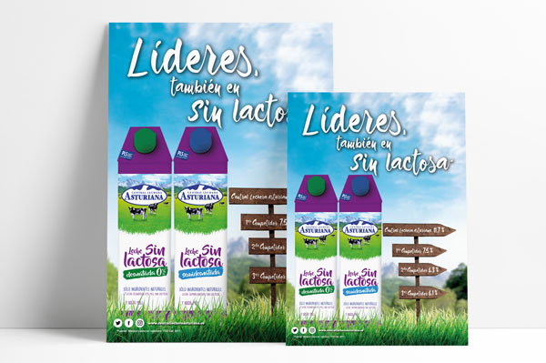 Displays contracolados en cartón de 5 mm